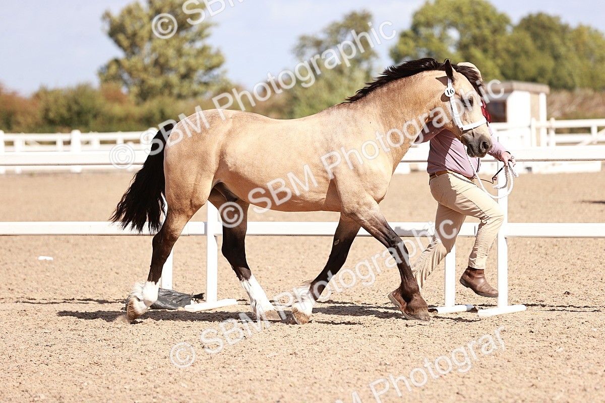 SBM_22976 - Class 707 - IH groom Helpers Class