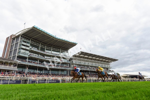 230923-Race 1-Invincible Molly-3135 - Race 1 2.00pm Jigsaw Sports Branding EBF Fillies' Novice Stakes