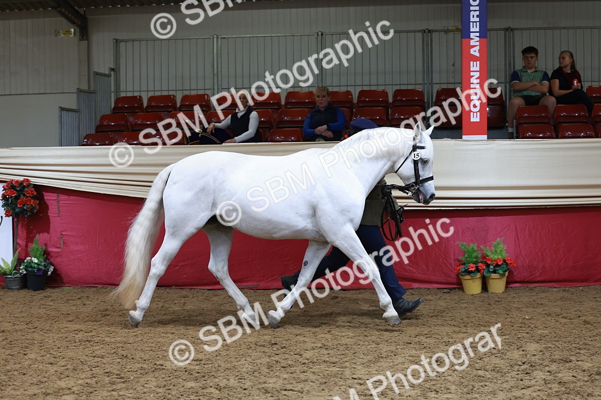 SBM_17408 - Class 951 - M&M IH Supreme Final