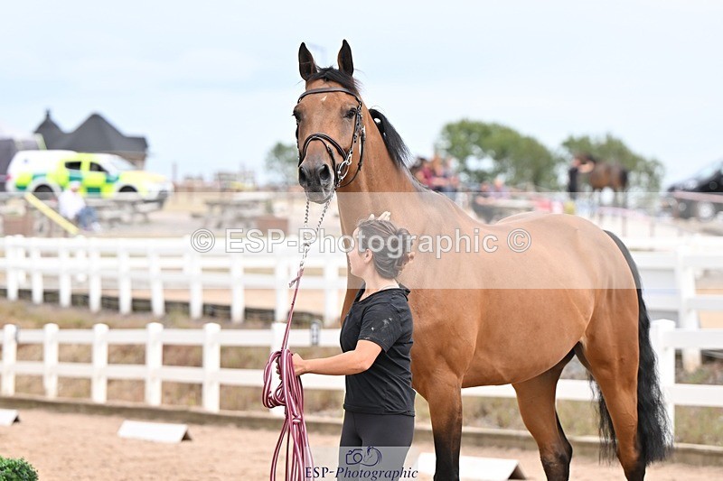 250716-153326-02009 - Trot Up 3.30 to 4.30