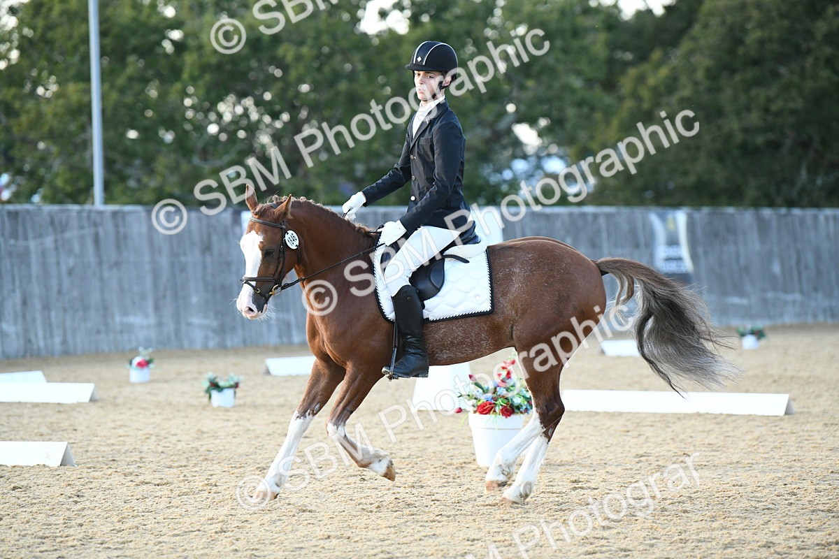 SBM_31000 - D16 - Small Tour Championship - Novice 28