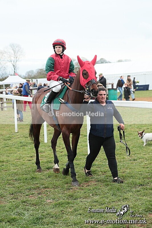 PtP 130425 233 - Edgecote Races 13/04/25