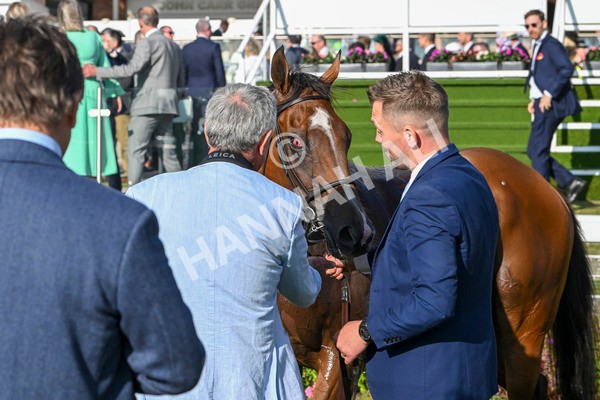 240824-Race 7-Sir Busker-2103 - Race 7 5.20pm Sky Bet Finale Handicap