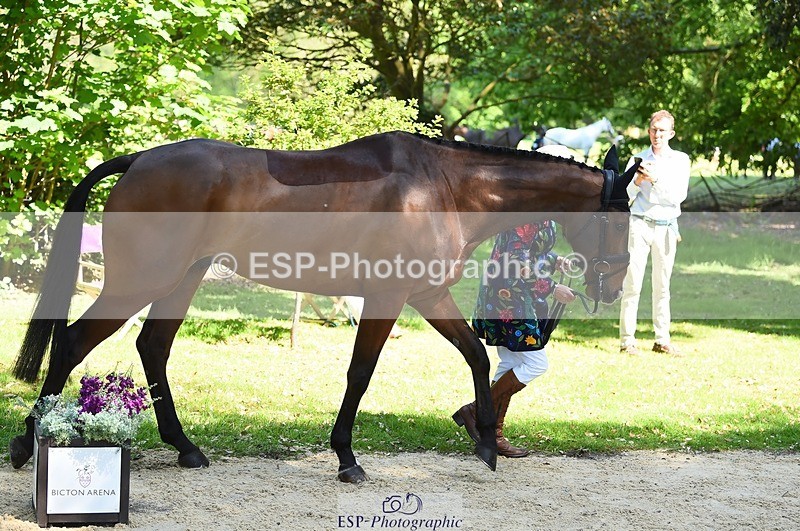 230524-152132-00228 - 324-DRUMGIVEN_MR_CHARISMA-Jeanette_Brakewell-WEDTrotUp+DR