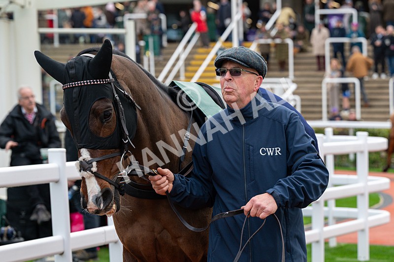 161125-Race 3-Uncle Phil-1415 - Race 3
