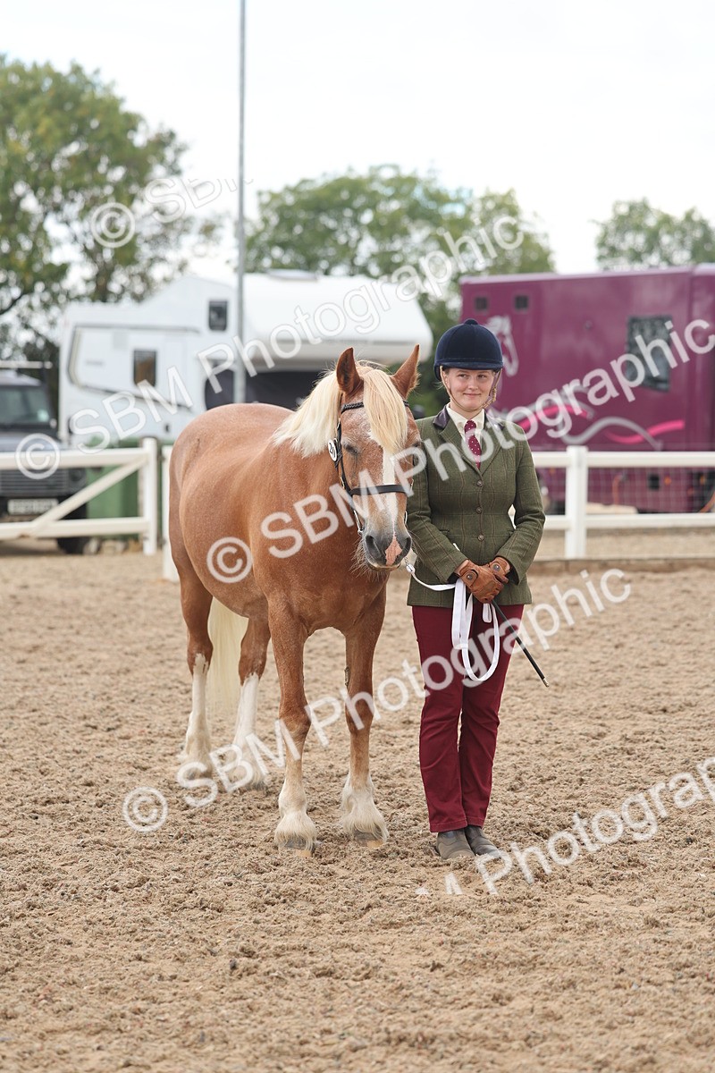 SBM_03269 - Class 16 - IH M&M Wildcard