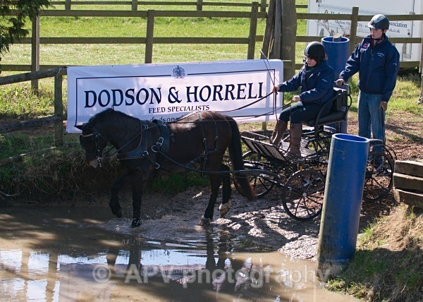 _DSC0044 - Ashfields Carriage & Polo Club