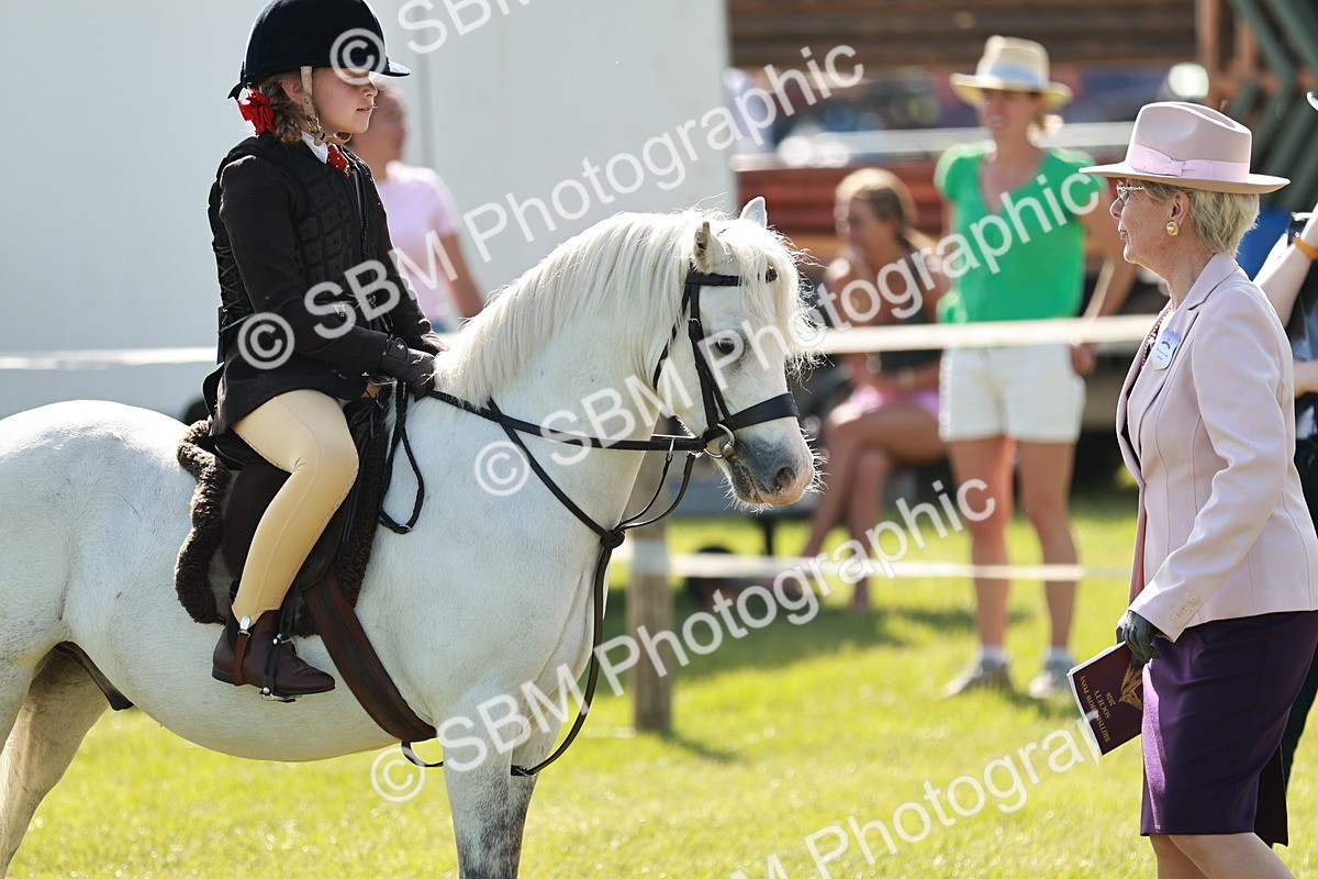 SBM_12618 - Class 106-107 - BSPS LIHS Working Sports Pony