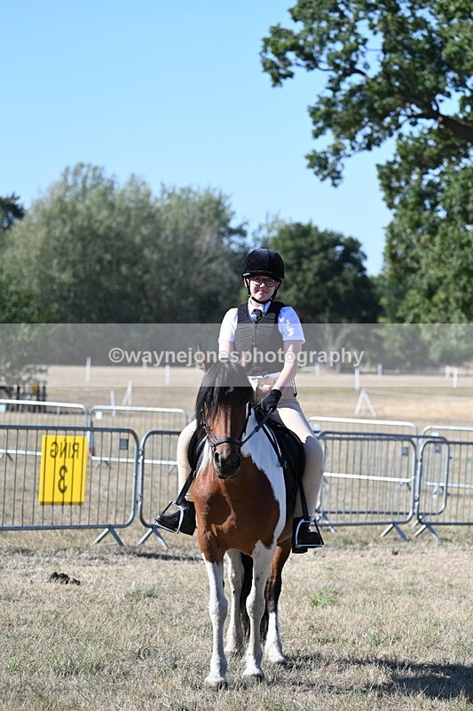 WJ7_2194 - Class 44 Child's Best Friend