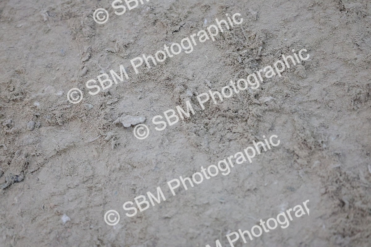 SBM_001464 - Class 7 - Puissance