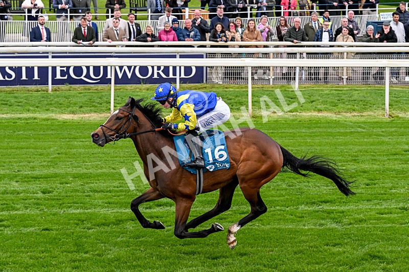 130526-Race 6-Startled-0385 - Race 6 4.40pm Conundrum HR Consulting Handicap