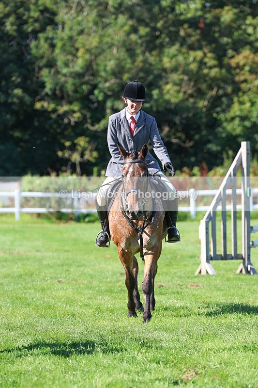 3E7A7812 - Class 2: Open Working Hunter pony