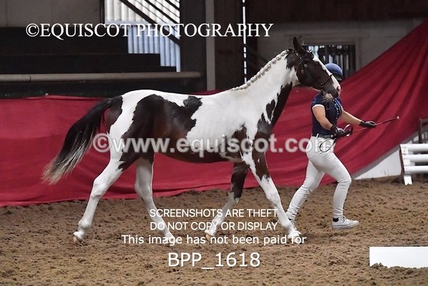 BPP_1618 - MORNING 9AM - 12PM