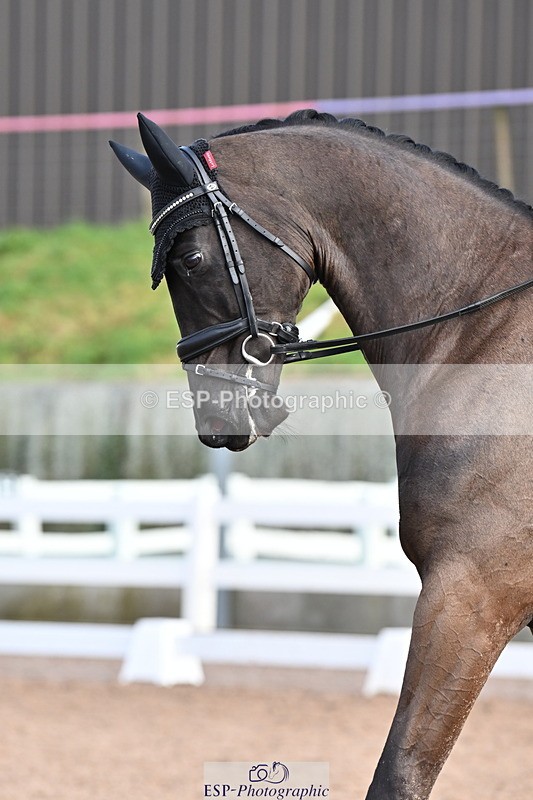 240218A-113600-06754 - 218-Jessica.Davies-Nemo.II