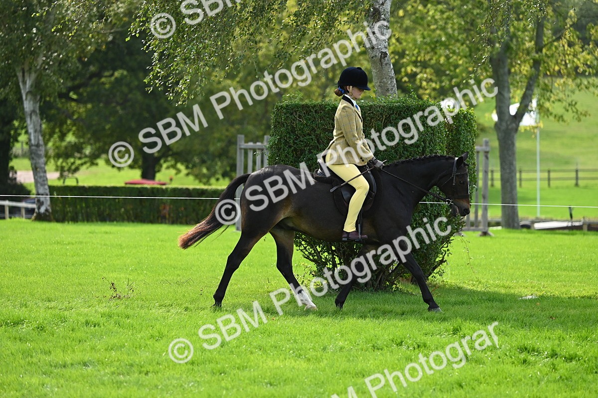 SBM_02615 - S3 - TSR Ridden Pony Showing