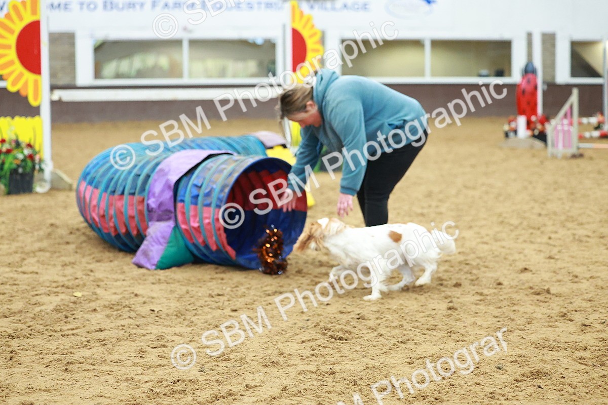 SBM_002535 - Class 3 - Horse & Hound (60cm)