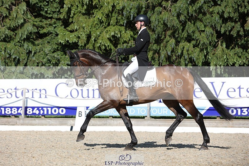 230526-165938-07881 - 174-LANCELOT_BMG-Alfie_Marshall-WEDTrotUp+DR