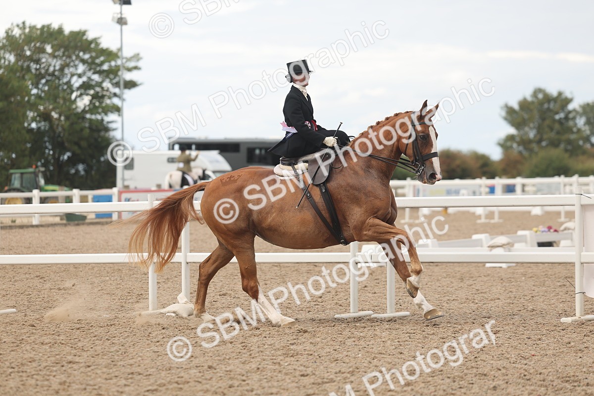 SBM_06334 - Class 24 - SSA Concours d'Elegance
