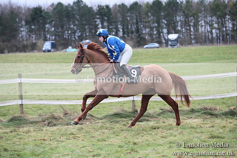 PtP 230119 196 - Royal Artillery Point-to-Point  - Larkhill  - 26/01/19