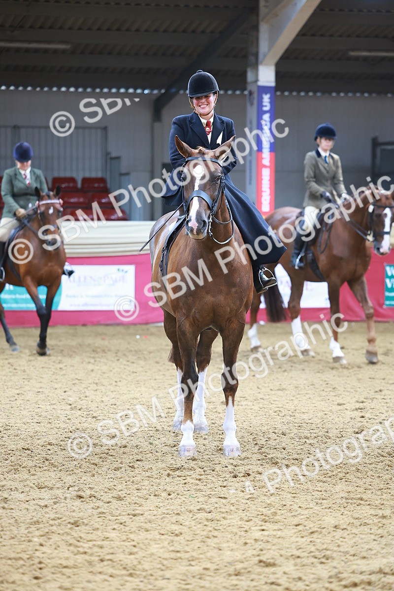 SBM_12652 - Class 103 - HOYS Veteran Qualifier - Ridden Pre Vet
