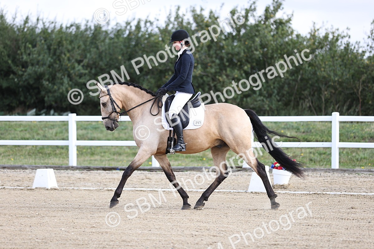 SBM_015298 - Class 14 - Novice 23 - 9.05-10.08