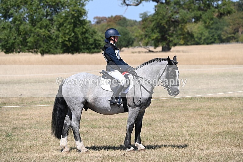 WJ6_9172 - Championship Classes 33-38