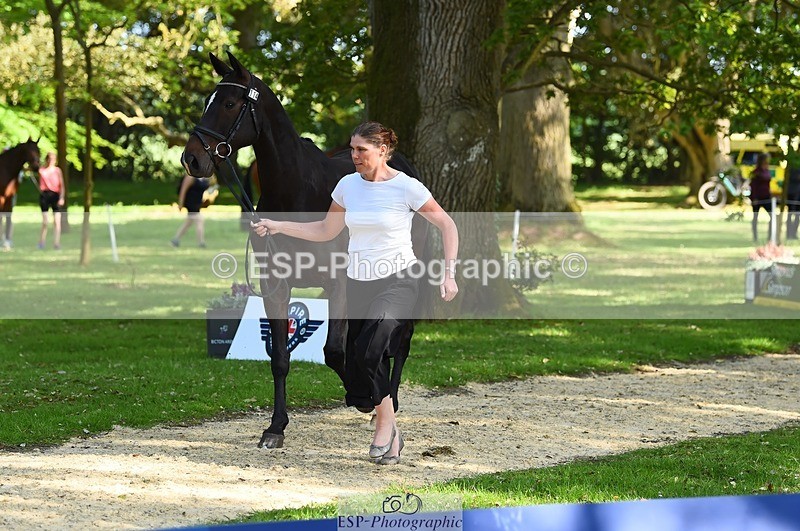 230524-164554-01074 - 114-DARK_SIDE_OF_THE_MOON_LS-Bundy_Philpott-WEDTrotUp+DR