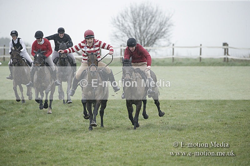 PtP 150320 0007 - New Forest Point-to-Point Larkhill 15/03/20