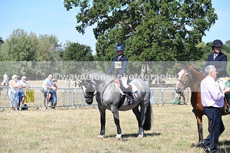 WJ6_8464 - Class 37a Best Loan Pony Ridden