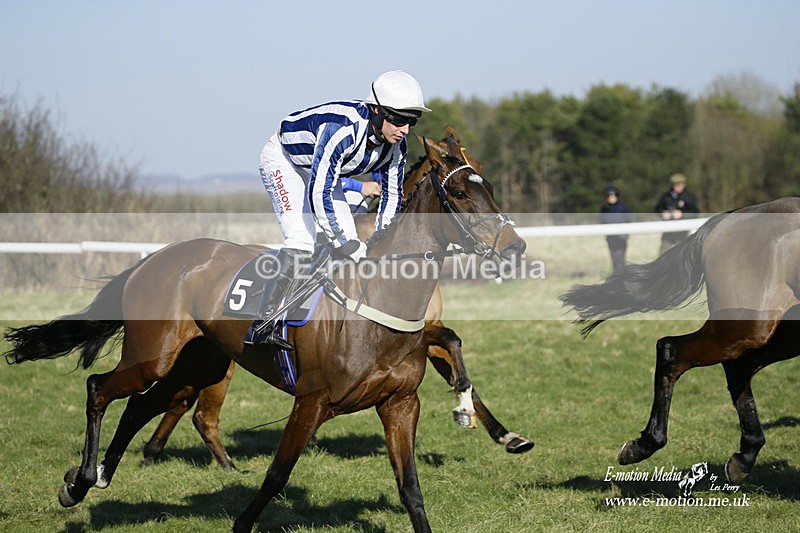 PtP 270222 62 - South & West Wilts Point-to-Point Larkhill 27/02/22