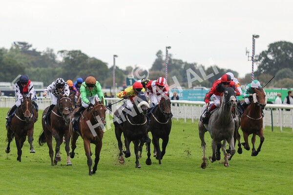 yr24092021r3-22 - Race 3 2.40pm WilliamHill.com Best Odds Guaranteed Stakes