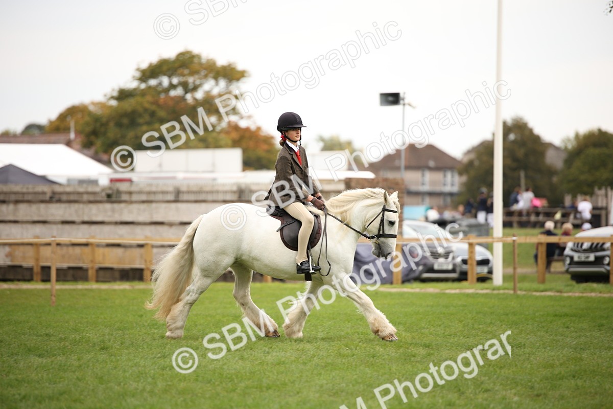 SBM_73533 - S68 - Traditional Cob Ridden