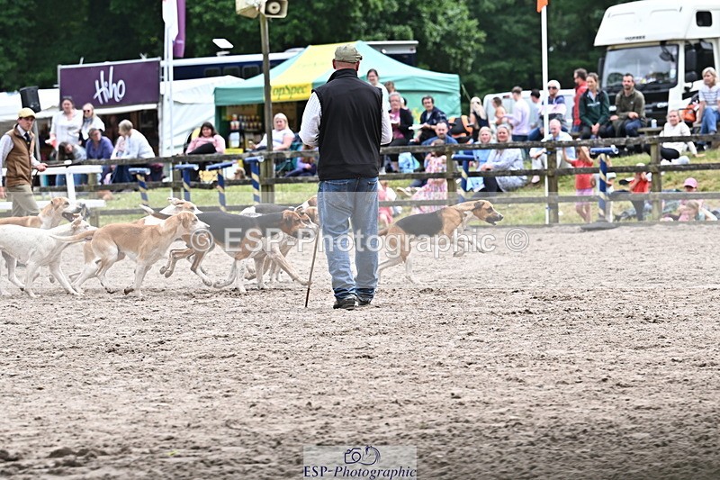250524A-152315-12711 - East Devon Hounds