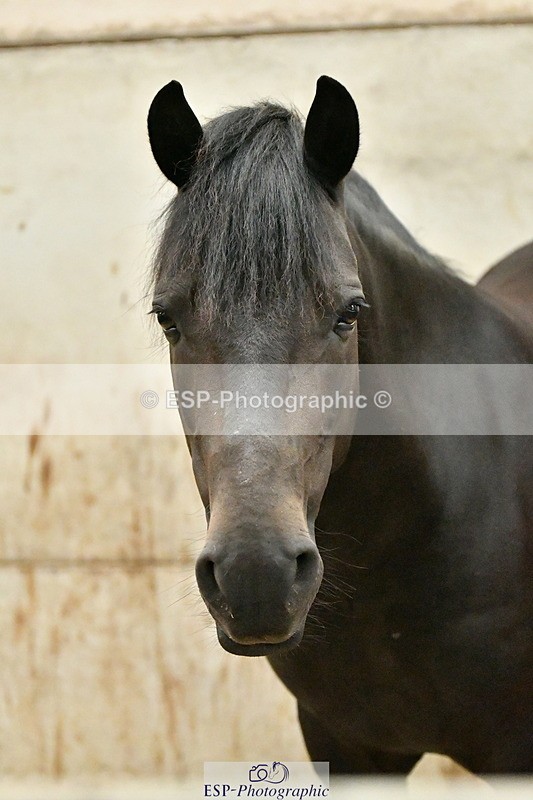 230803A-160633-00794 - Danielle's Ride