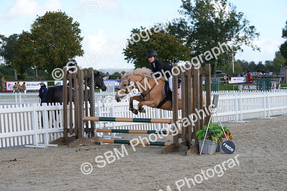 SBM_50950 - J8 - Junior Pony 65cm Championship