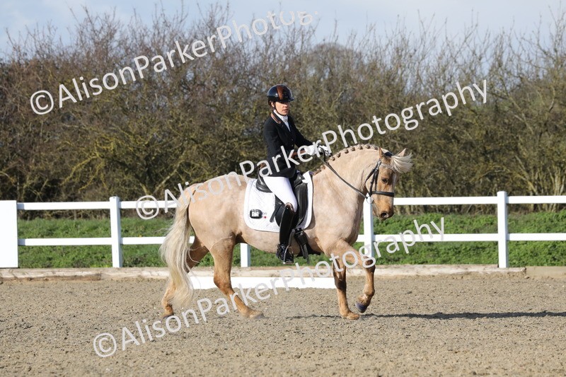 20260314-5814 - DR 7 - Elementary 1