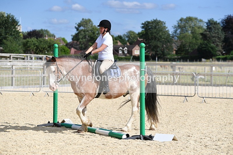 WJ5_5569 - Poles on the Floor