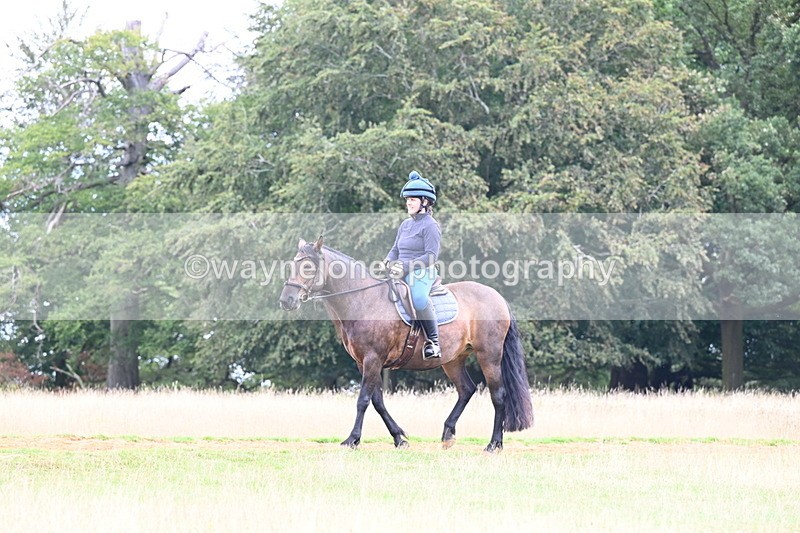 DSC_9346 - Time at Statue 14:33 to 15:10