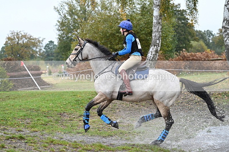 WJ7_1305 - 80cm Cam 2 Water Time 11:29 to 11:46