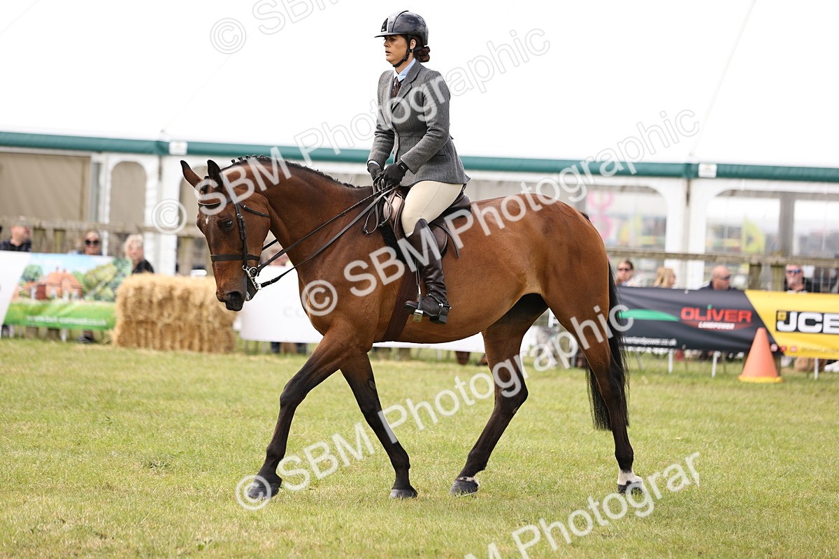 SBM_14687 - Class 88-89 - LIHS BSHA Rising Star of Ridden Hunter Type