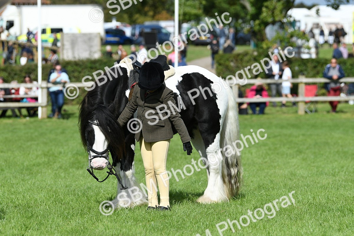 SBM_46985 - S12 - Family Horse & Pony