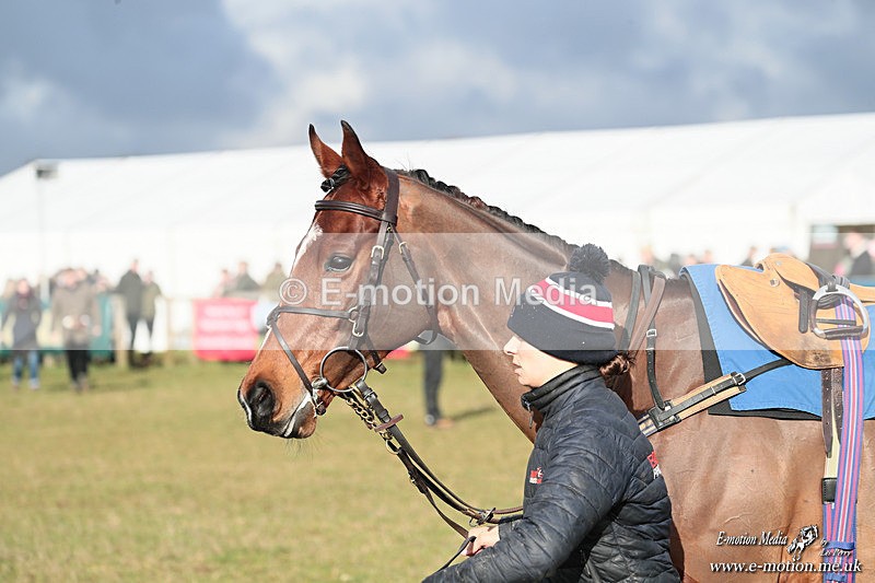 PtP 250126 256 - Cocklebarrow Races Point-to-Point 25/01/26