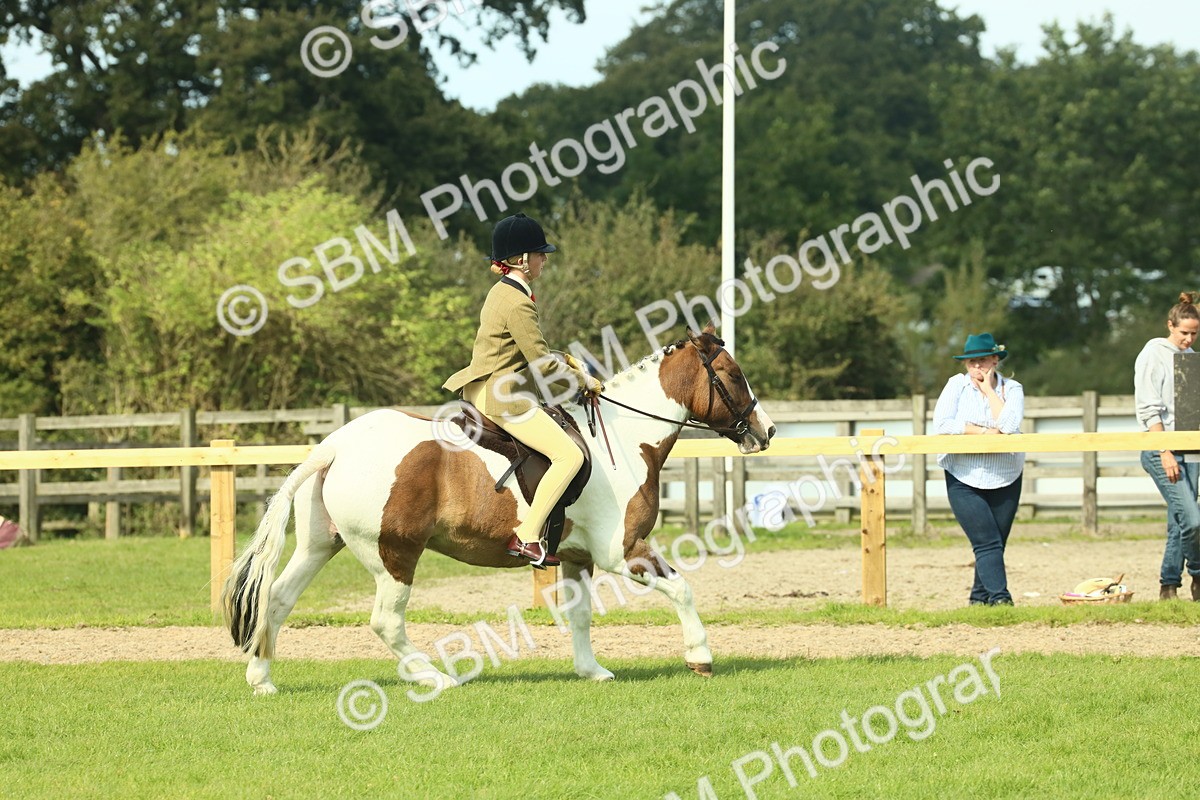 SBM_67657 - S56 - Coloured Pony Ridden