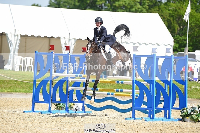 230528-113624-15281 - 320-CAVALIER_GUNFIRE-Tabitha_Baker-SUNTrotUp+SJ