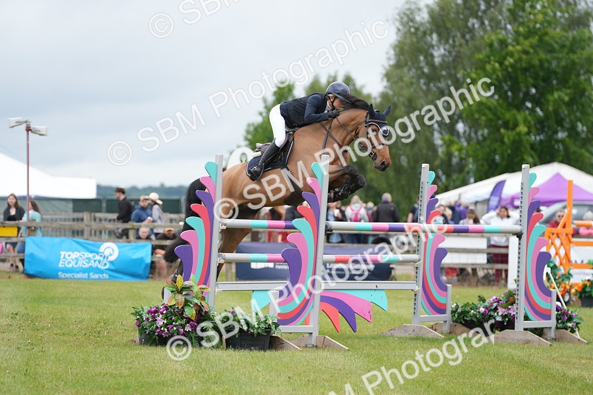 SBM_03375 - Class 201 - British Horse Feeds Speedi Beet Horse of the Year Show Grade  C