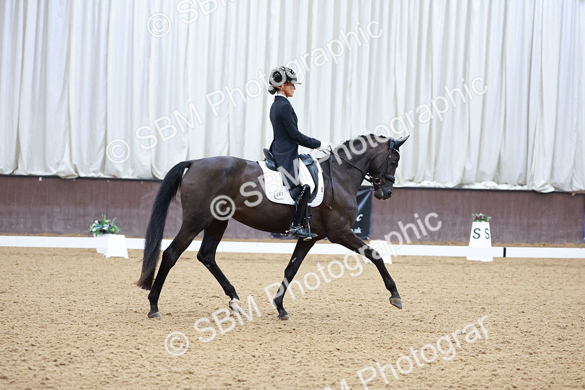 SBM_021165 - Class 14 - FEI Grand Prix - 17.40-18.34