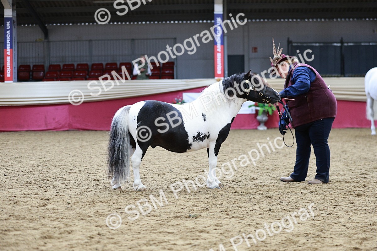 SBM_01265 - Class 3A - Area IH Pre-Vet
