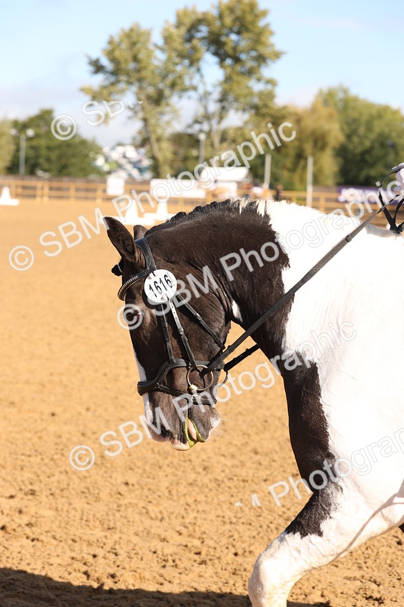 SBM_37651 - D18 - Grand Tour Championship Novice 2