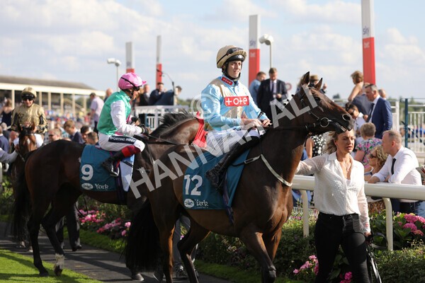 yr20082022r7-8 - Race 7 5.20pm Sky Bet Finale Stakes