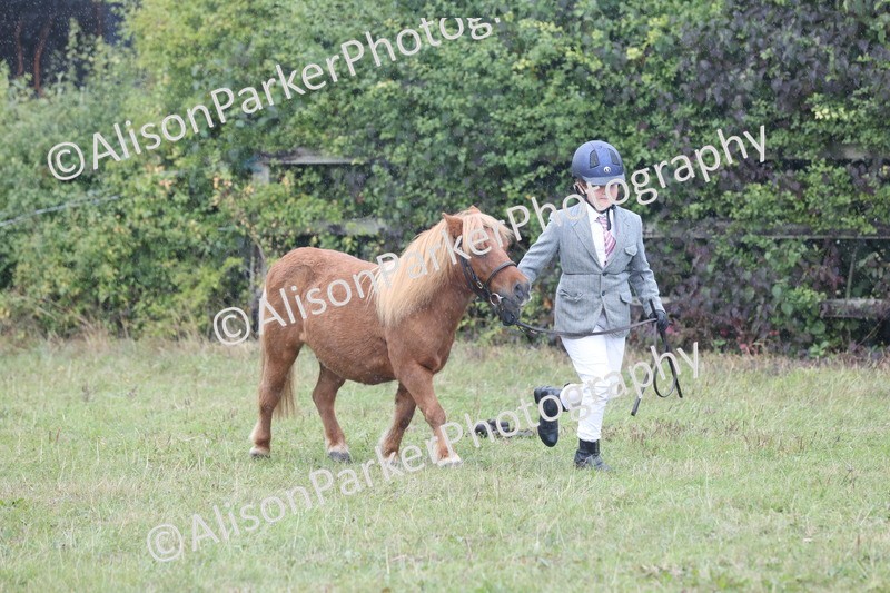 20250831-3074 - Inhand Championship